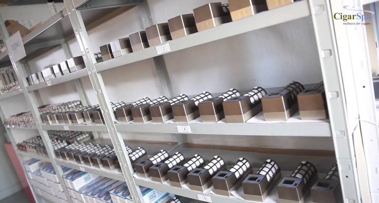 [Interview Kurt Steinborn] À la découverte du Cigarspa !