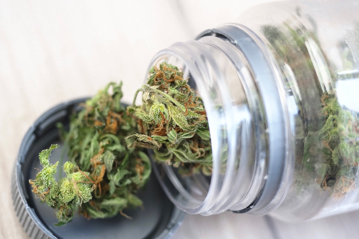 Découvrez Golden Vibe, la marque de fleurs de CBD