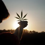 Comment le cannabis a été interdit ?