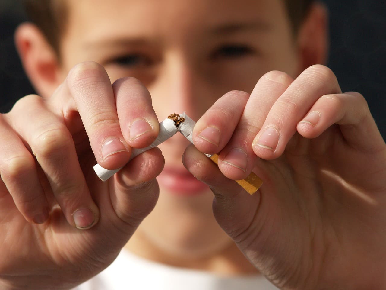 elfbar nachfüll pod läuft aus S'attaquer à la production et à la vente de cigarettes en organisant  l'extinction de la filière » (Le Monde) main image 0