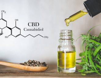 Découvrez la Cann’Agri Expo et les résultats de la Platinum CBD Cup 2025