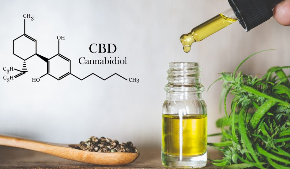 Découvrez la Cann’Agri Expo et les résultats de la Platinum CBD Cup 2025