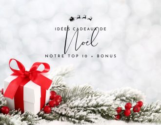 Top 10 idées cadeaux pour fumeurs - Noël 2025