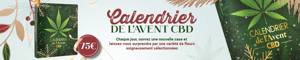 Calendrier de l'Avent