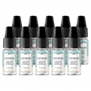 Lot de 10 E liquides Roykin Menthe Myrtille 16 mg
