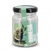 Fleur de CBD Cocoribud Amnesia Haze 10g