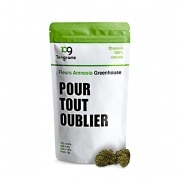 Fleur de CBD Tengrams Amnesia greenhouse 2g