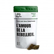 Fleur de CBD Tengrams Jack Herer greenhouse 2g