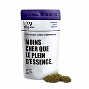 Fleur de CBD Tengrams Sour Diesel greenhouse 2g