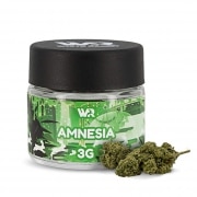 Fleur de CBD White Rabbit Amnesia 3g