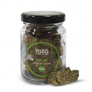 Fleur de CBD Yalla AK47 10g
