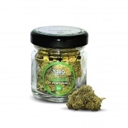 Fleur de CBD Yalla Amnesia 3g
