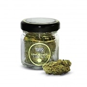 Fleur de CBD Yalla Lemon Haze 3g