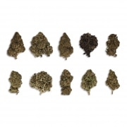 Pack Dcouverte CBD 10 grammes