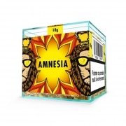 Fleur de CBD Zion Amn�sia 10g