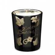 Bougie Photophore Maison Berger Lolita Lempicka Noire