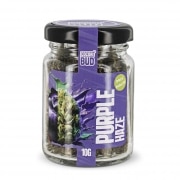 Fleur de CBD Cocoribud Purple Haze 10g