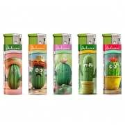 Photo #2 de Briquet lectronique Cactus x 5