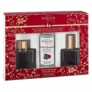 Photo #2 de Duo Mini Bouquet et Spray Maison Berger Oud Hypnotique