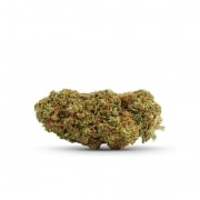 Photo #2 de Fleur de CBD Cocorikush Berry Pie 3.5g