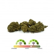 Photo #2 de Fleur de CBD Tengrams Amnesia greenhouse 2g