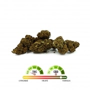 Photo #2 de Fleur de CBD Tengrams Jack Herer greenhouse 2g