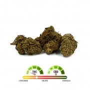 Photo #2 de Fleur de CBD Tengrams Orange Bud greenhouse 2g