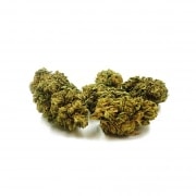 Photo #2 de Fleur de CBD White Rabbit White Widow 3g