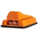 Tubeuse Double Orange