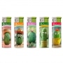 Briquet lectronique Cactus x 5
