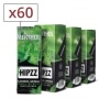 Pack de 60 Cartes Fraicheur HIPZZ Menthol