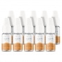 Lot de 10 E liquides Petit Nuage Globe Trotteur 6 mg