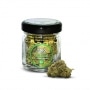 Fleur de CBD Yalla Amnesia 3g