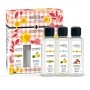 Coffret 3 Parfums Maison Lampe Berger Estivale 250 ml