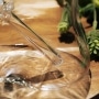 Photo #10 de Bang en Verre Hemper 'La Botte'