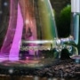 Photo #10 de Bang en Verre Hemper Champignon