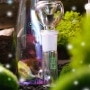 Photo #11 de Bang en Verre Hemper Champignon