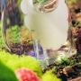 Photo #9 de Bang en Verre Hemper Gnome