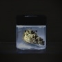 Photo #6 de Boite de conservation Hermtique LED et Loupe