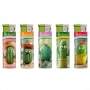 Photo #2 de Briquet lectronique Cactus x 5