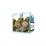 Photo #2 de Fleur de CBD Zion Jack Herer 2 g