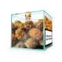 Photo #2 de Fleur de CBD Zion Orange Bud 10g